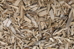 biomass boilers Coed Talon